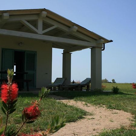 גרוסטו Agriturismo Podere 678 מראה חיצוני תמונה