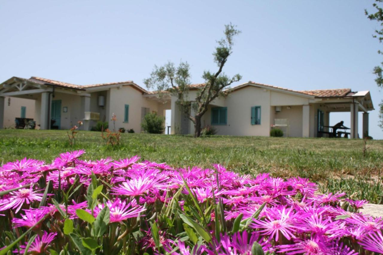 גרוסטו Agriturismo Podere 678 מראה חיצוני תמונה